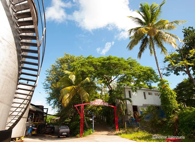 Distillerie Damoiseau Le Moule