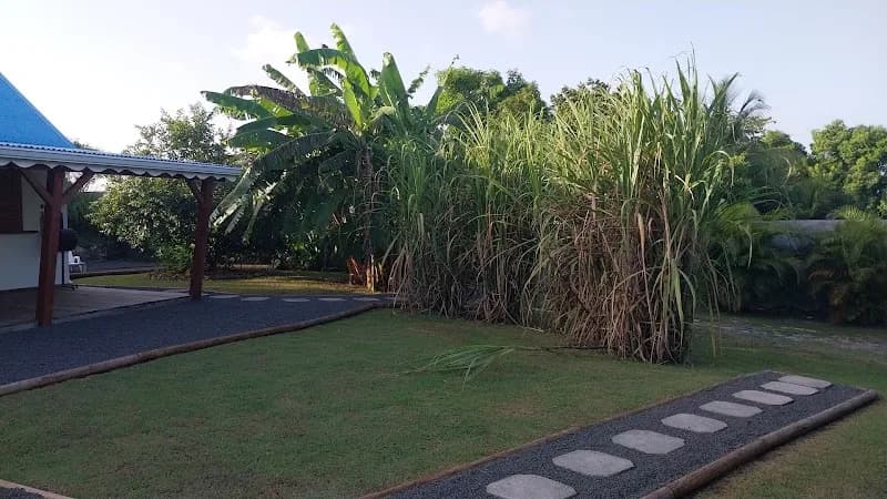 Enfances Et Bonheur - photo 2