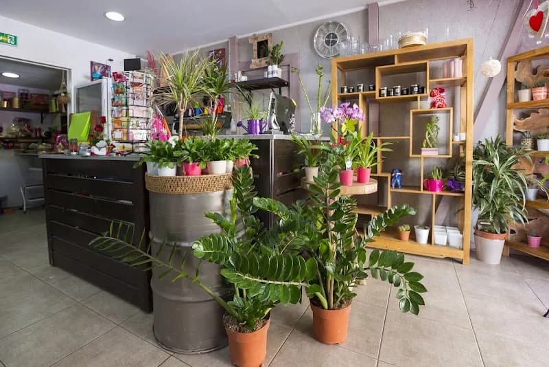 Fleuriste Le Bougainvillier Le Moule - photo 2