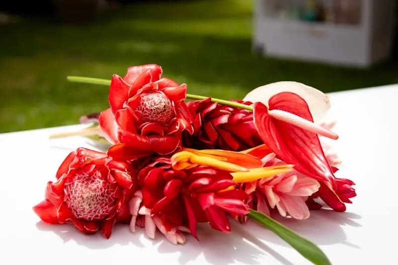 Fleuriste Flor é Sens Le Moule - photo 2