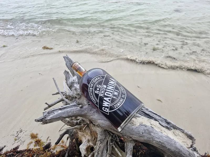 Agence de voyage Gwadinina Tours