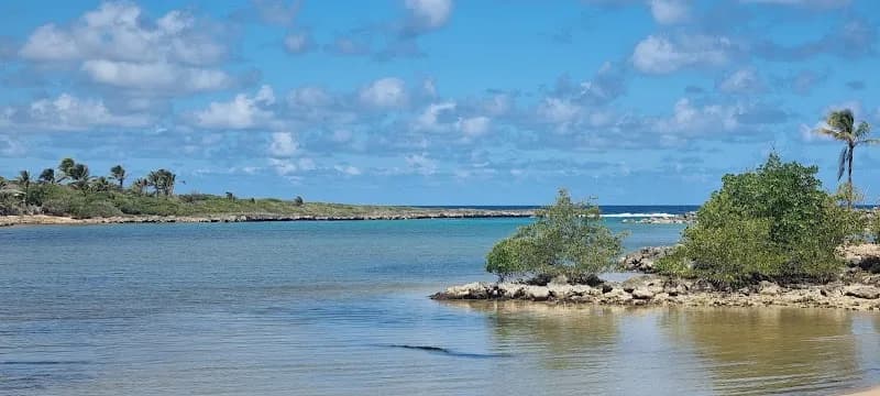 Huge Marie-Ange - photo 2