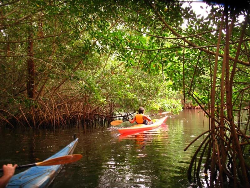 Kayak Molem Gliss Le Moule