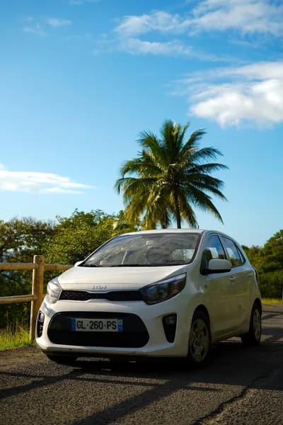 Nad in car - photo 2