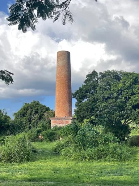 Vanderhasselt Luc - photo 2