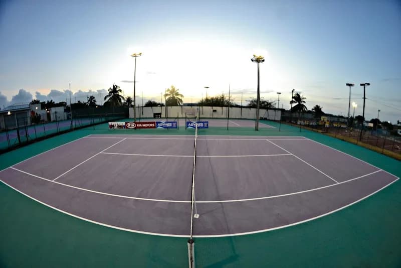 Ams Performance Antilles