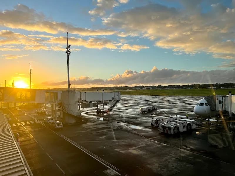 Avis  Pôle Caraïbe - photo 3