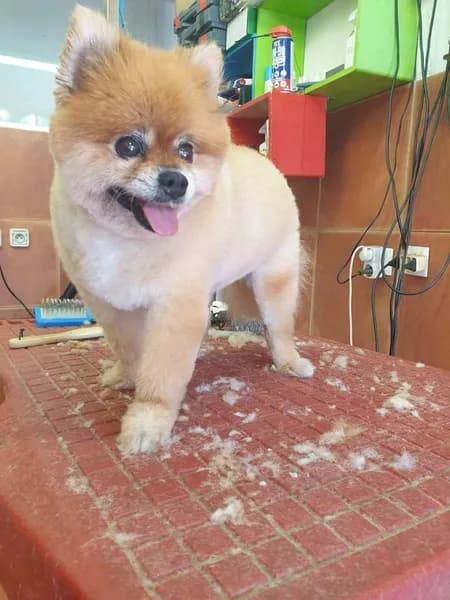 Chouchoutez Moi - photo 2