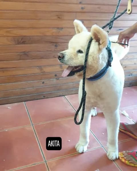 Chouchoutez Moi - photo 3