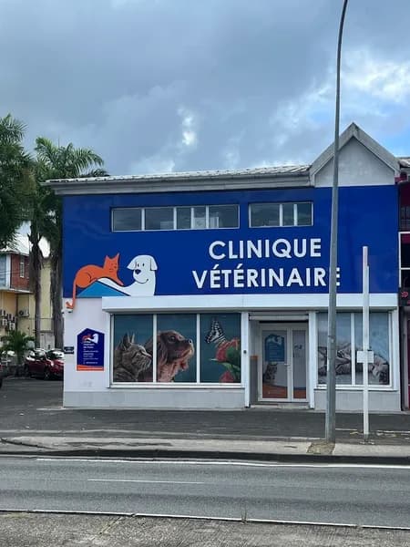Clinique Vétérinaire Des Alizés Les Abymes