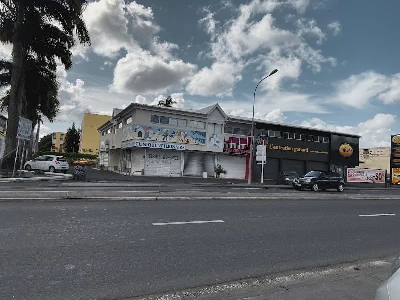 Clinique Vétérinaire Des Alizés Les Abymes - photo 2