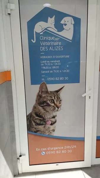 Clinique Vétérinaire Des Alizés Les Abymes - photo 3