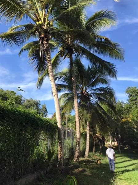 Côté Paysage - photo 2