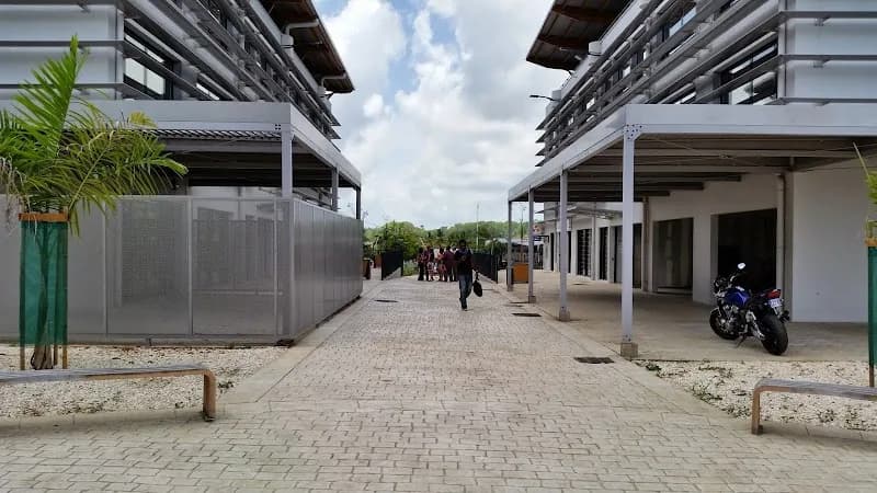 Framée Désiré - photo 2