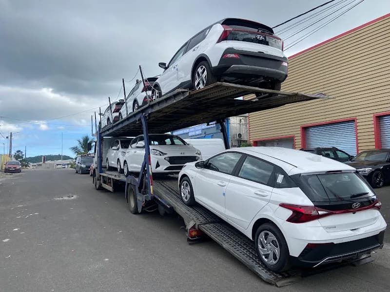 Go Gwada Location Les Abymes - photo 4