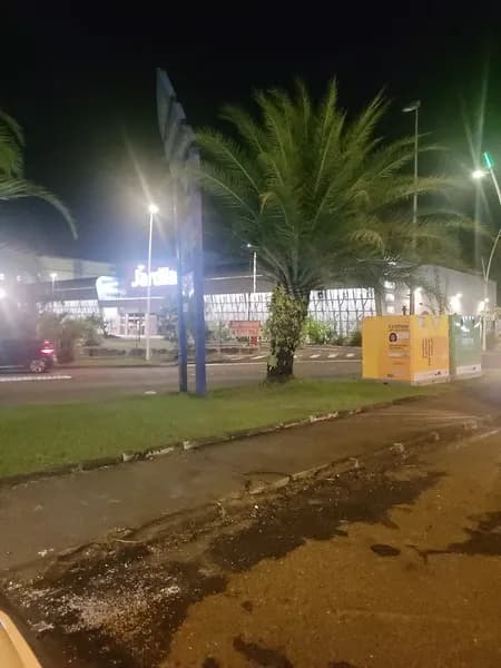 Jardiland Les Abymes