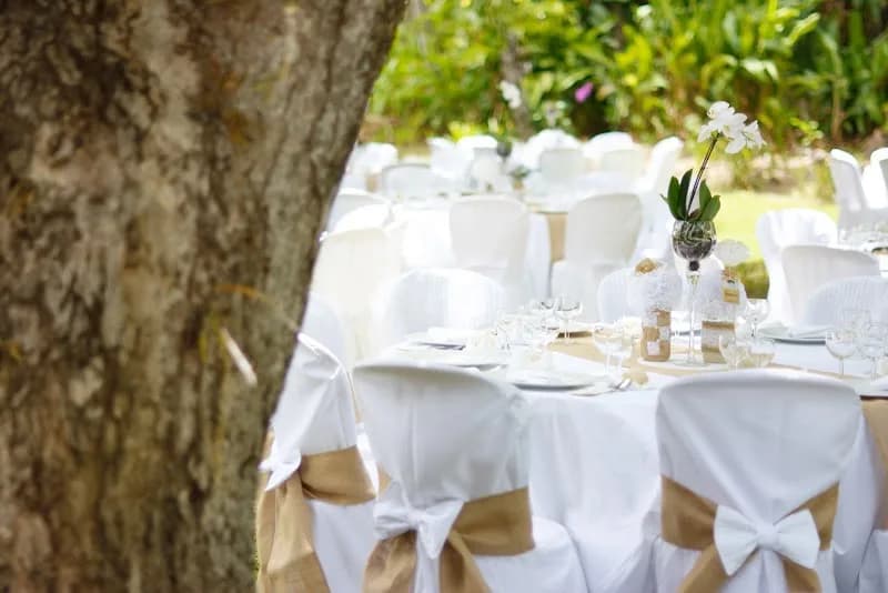 Jimmy Traiteur Les Abymes