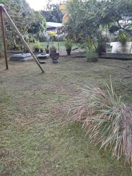 JL ENTRETIEN - photo 2