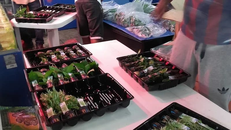 Kaz’ Animal Les Abymes - photo 2