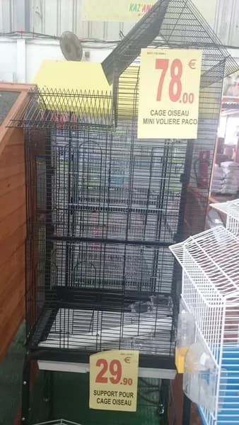 Kaz’ Animal Les Abymes - photo 4