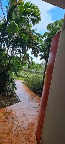 Konopizza Caraibes Antillopôle - photo 3