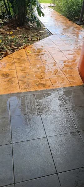 Konopizza Caraibes Antillopôle - photo 4