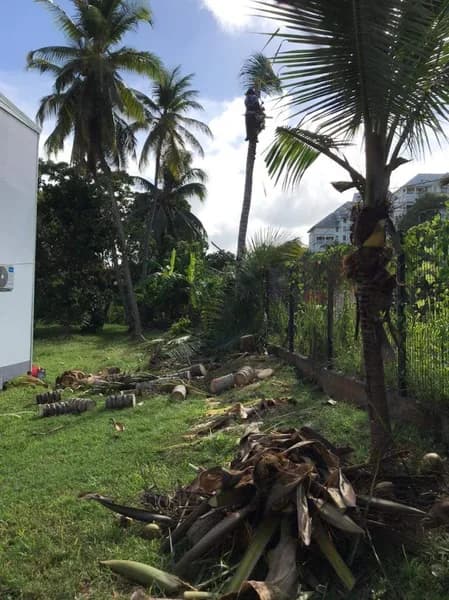 La Générale Espace Vert