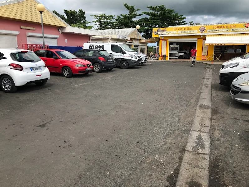 La Palme d’Or - photo 2