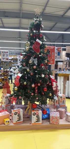 Librairie Papeterie Le Format Les Abymes - photo 2