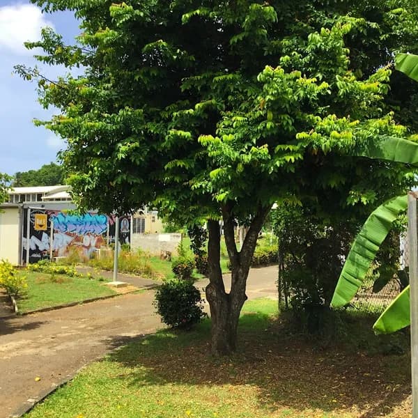 Lycée Félix Proto - photo 4