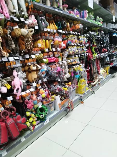 Magasin Centrakor Les Abymes - photo 3