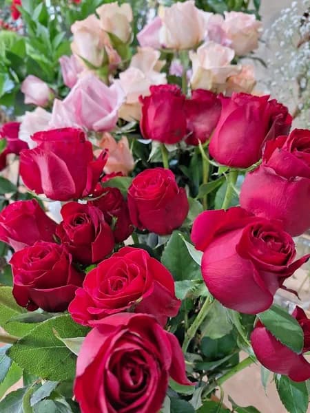 Mil’Fleurs Les Abymes - photo 2