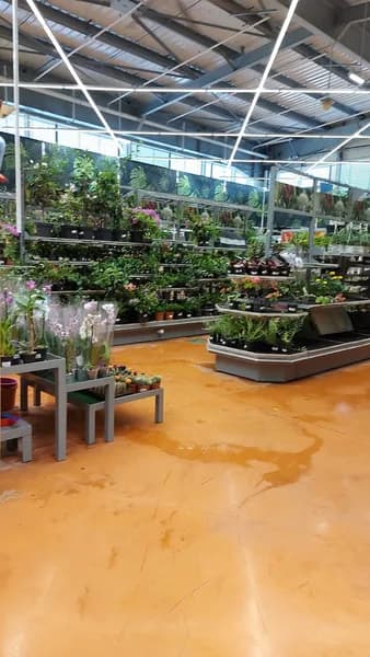 Mr Bricolage Les Abymes - photo 2