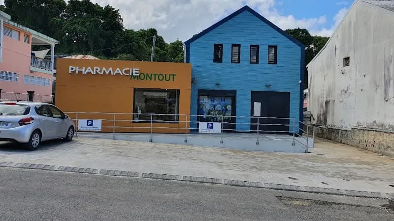 Pharmacie Pascal Montout Les Abymes