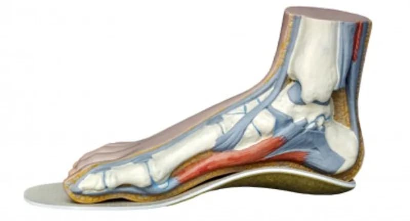 Podologue Sindy Claire Les Abymes - photo 2