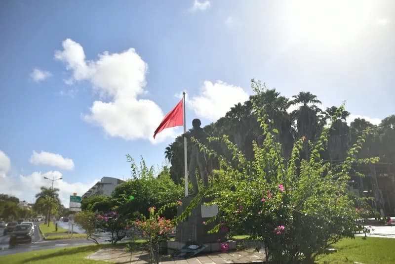 SDV Caraîbes Les Abymes - photo 2