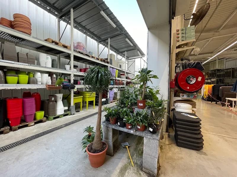 Magasin Sham Home Les Abymes - photo 2