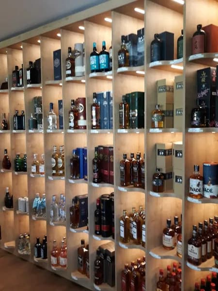 Sorrente-bait Lucienne