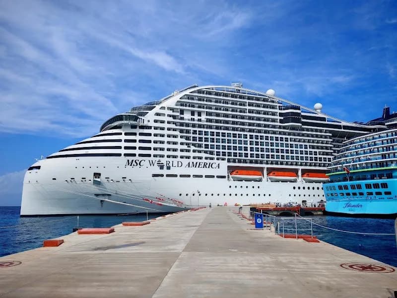 Tropicolor - photo 4