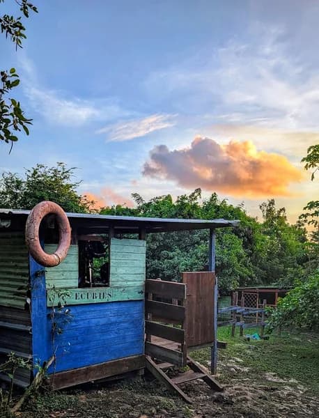Ranch de Morne Rouge Marie Galante - photo 2