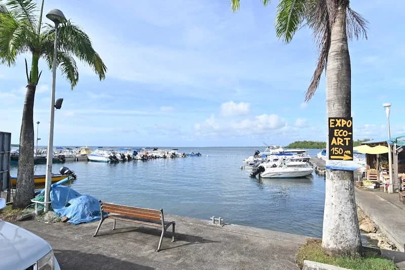 Appartement Vieux-Bourg