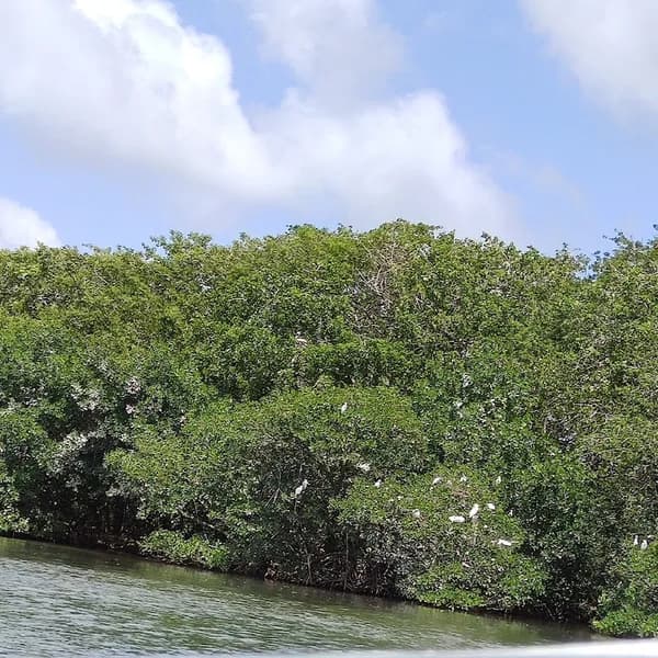 Appartement Vieux-Bourg - photo 2