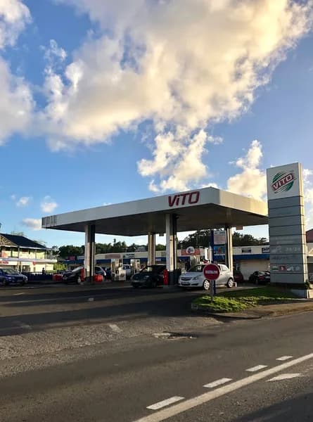 Chovino-Servent Lisette