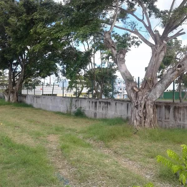 Collège Charles de Gaulle