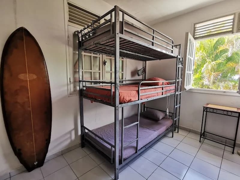 Fredo’s Surfschool & Surfcamp Morne-à-l’Eau - photo 2