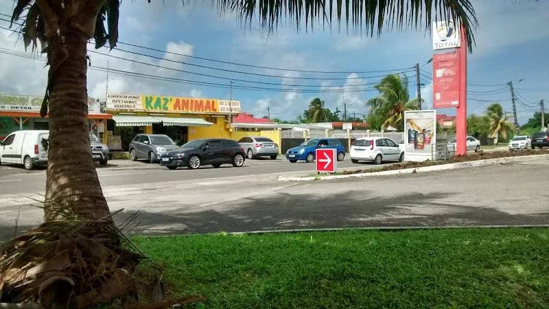 Kaz’ Animal Morne à l’Eau