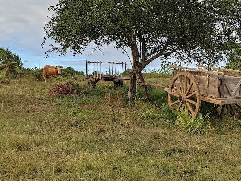 Administration Morne-à-l’Eau