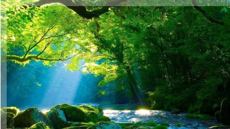 Psychologue Veronique Tazaro