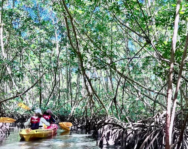 Ti Evasion Kayak Guadeloupe - photo 2