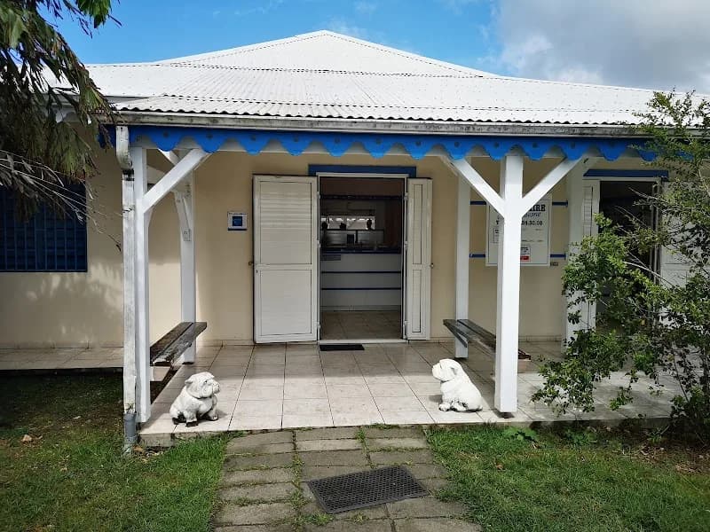 Vétérinaire Redon Houdas - photo 2